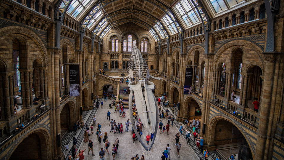 Natural History Museum